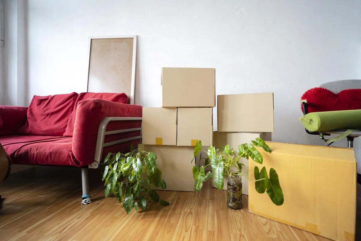 Cartons de déménagement fermés dans un salon protégé avant chargement